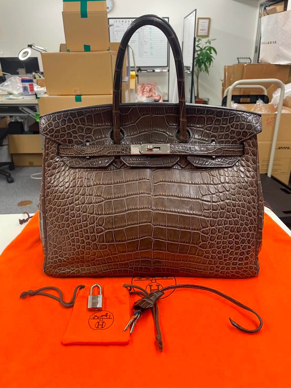 your birkin croco