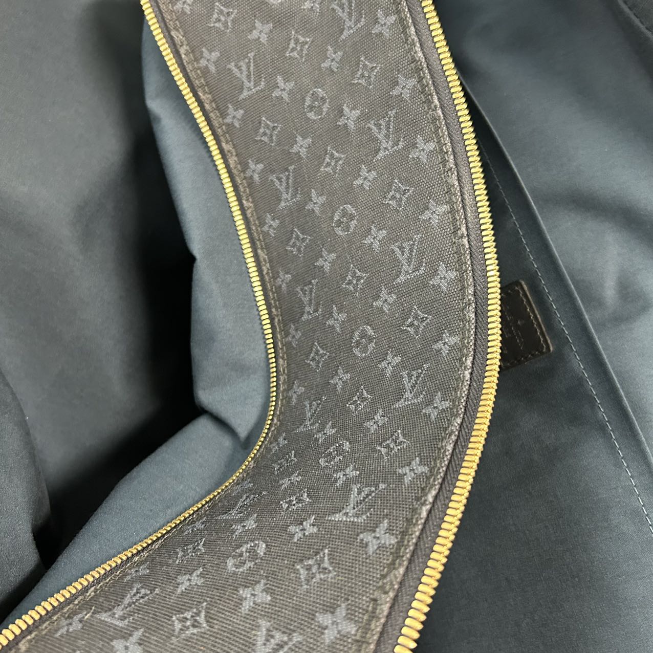 LOUIS VUITTON<br>Claudine Monogram