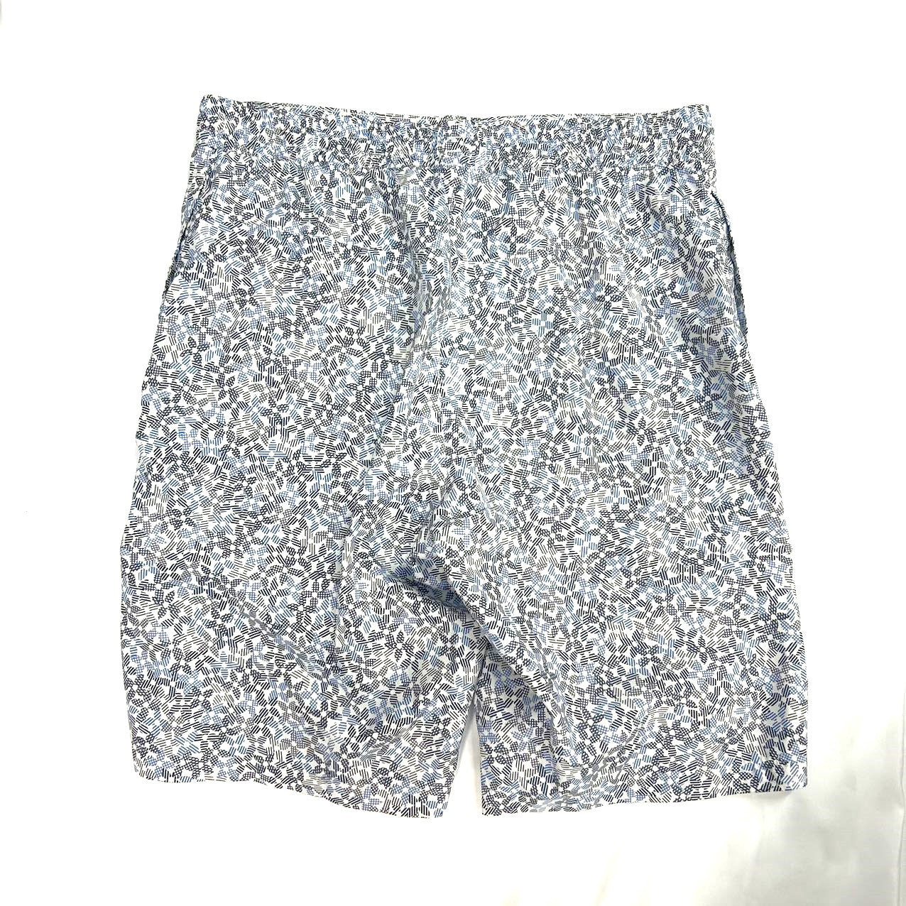 LOUIS VUITTON<br> Swim Short Pants