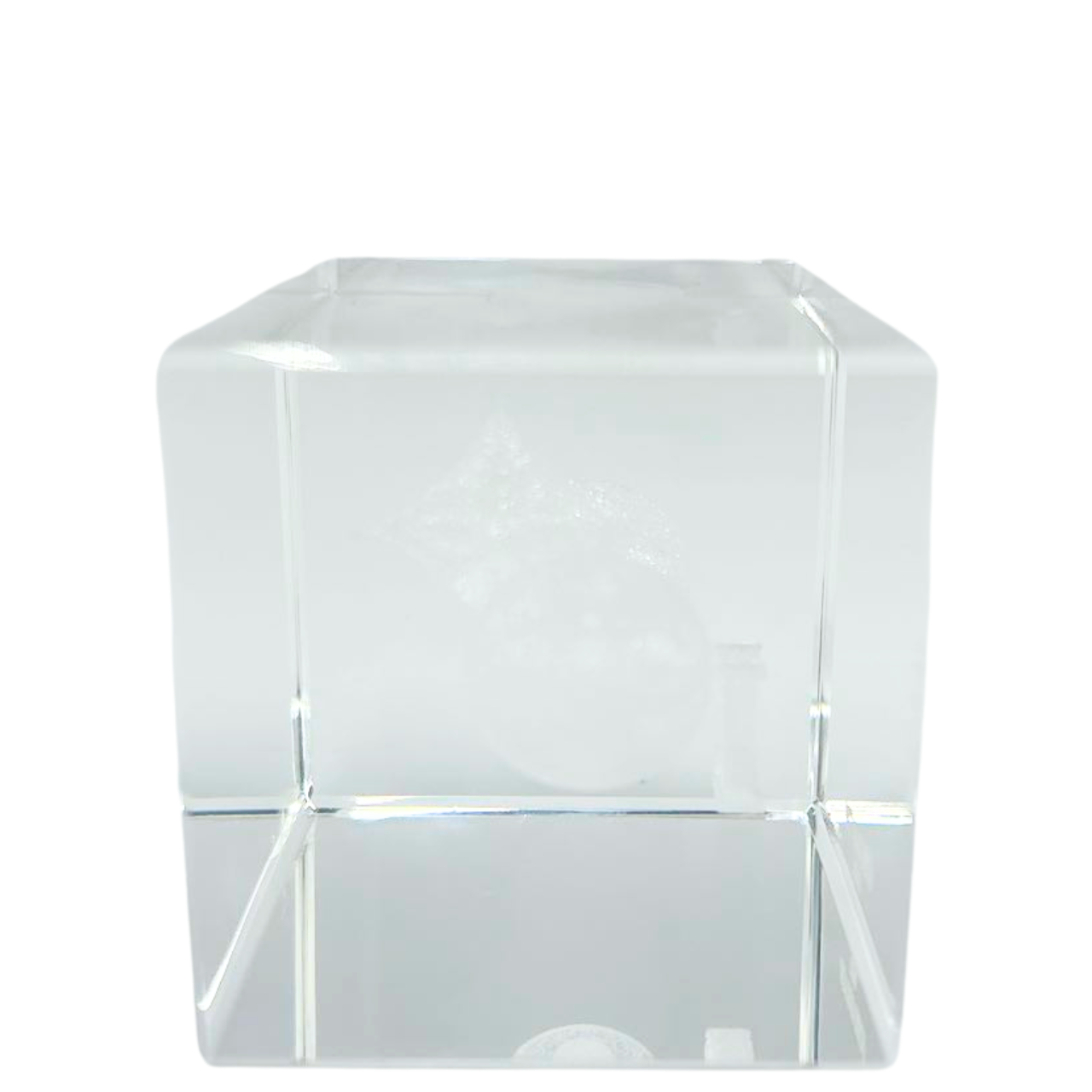 LOUIS VUITTON<br>Monogram Paper Weight Glass