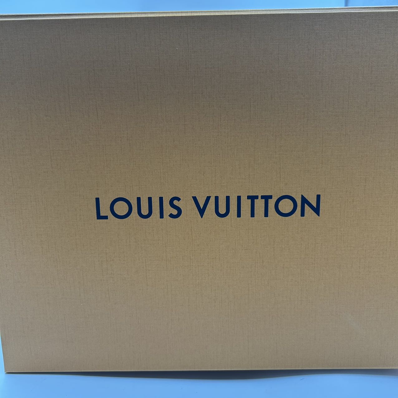 LOUIS VUITTON<br>Monogram Bag