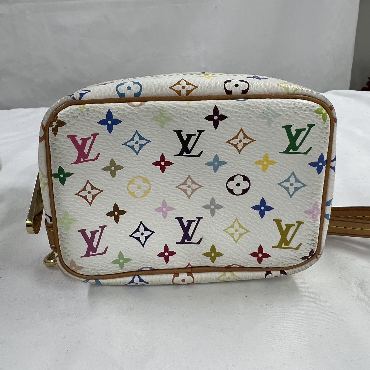 LOUIS VUITTON<br>Truth Wapiti Multi Color