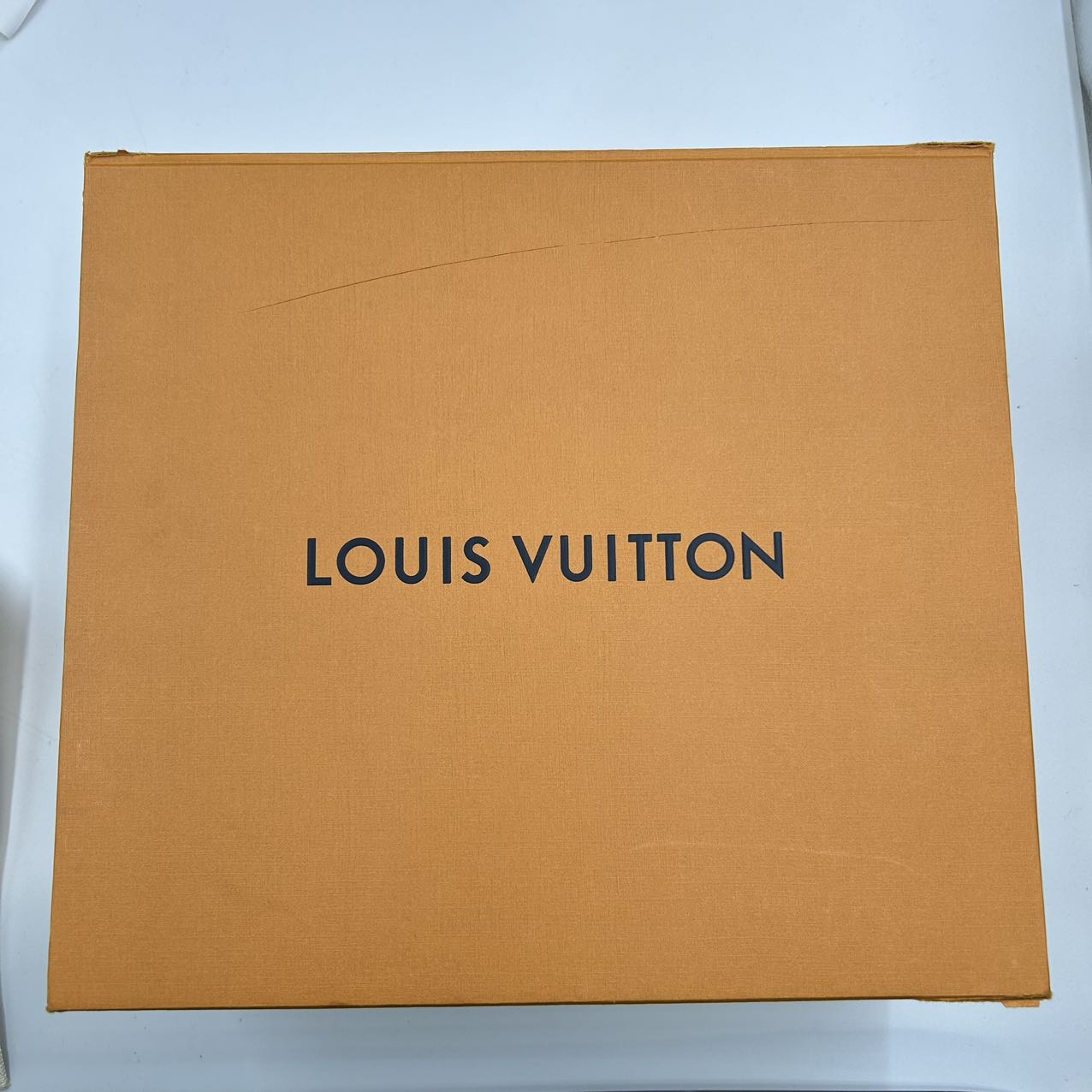 LOUIS VUITTON<br> Empreinte Handtasche