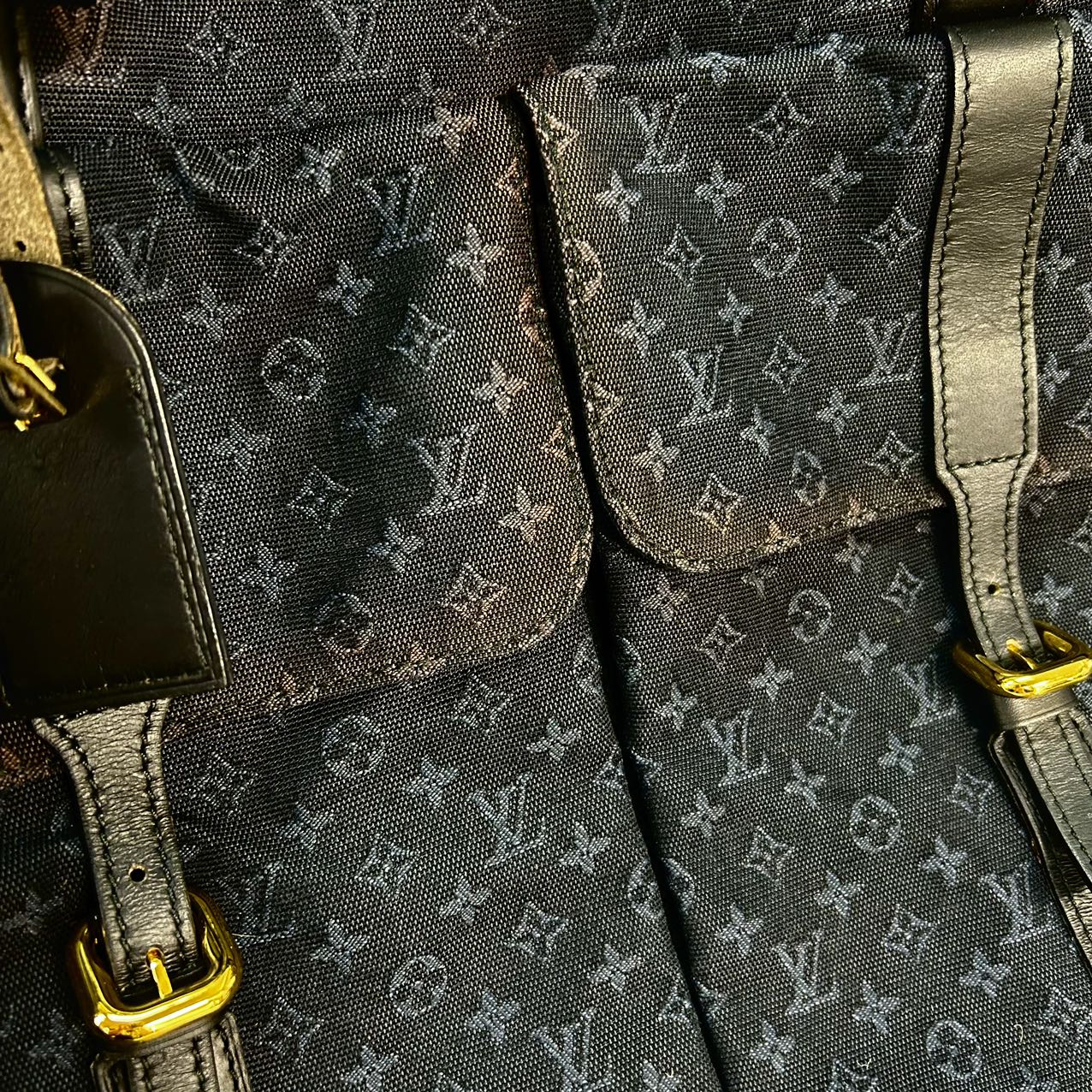 LOUIS VUITTON<br>Claudine Monogram