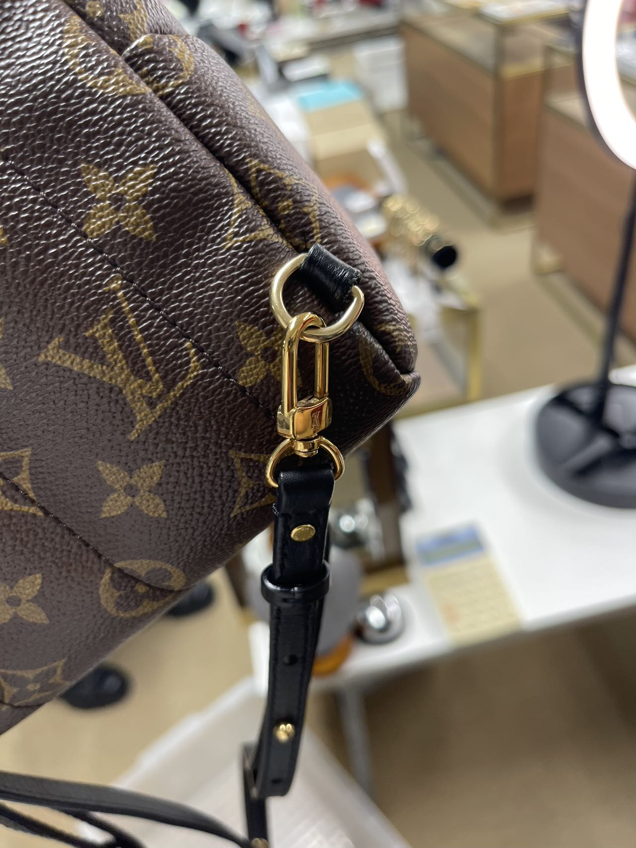 LOUIS VUITTON<br> Palm Spring Back Pack