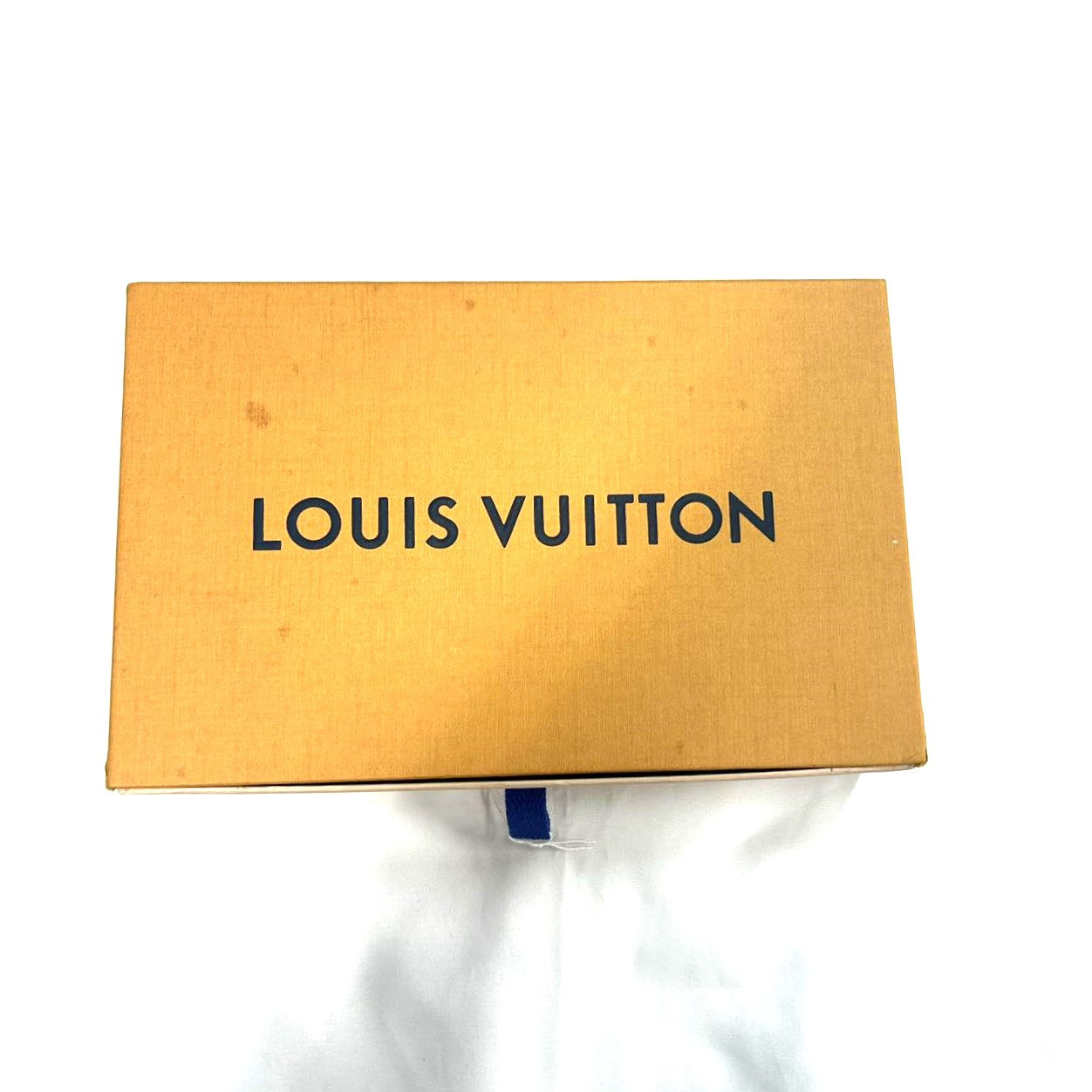 LOUIS VUITTON<br> Swim Short Pants