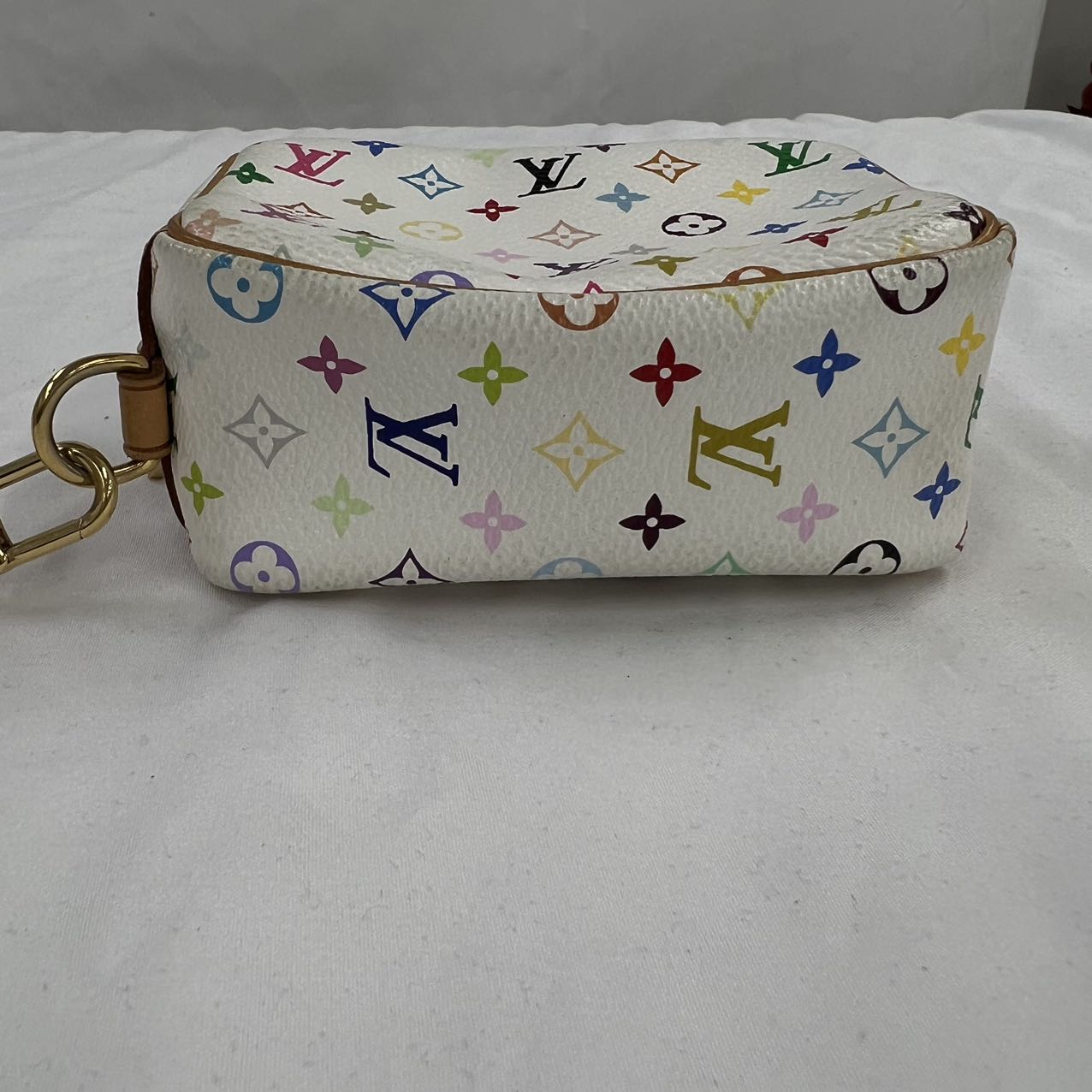 LOUIS VUITTON<br>Truth Wapiti Multi Color