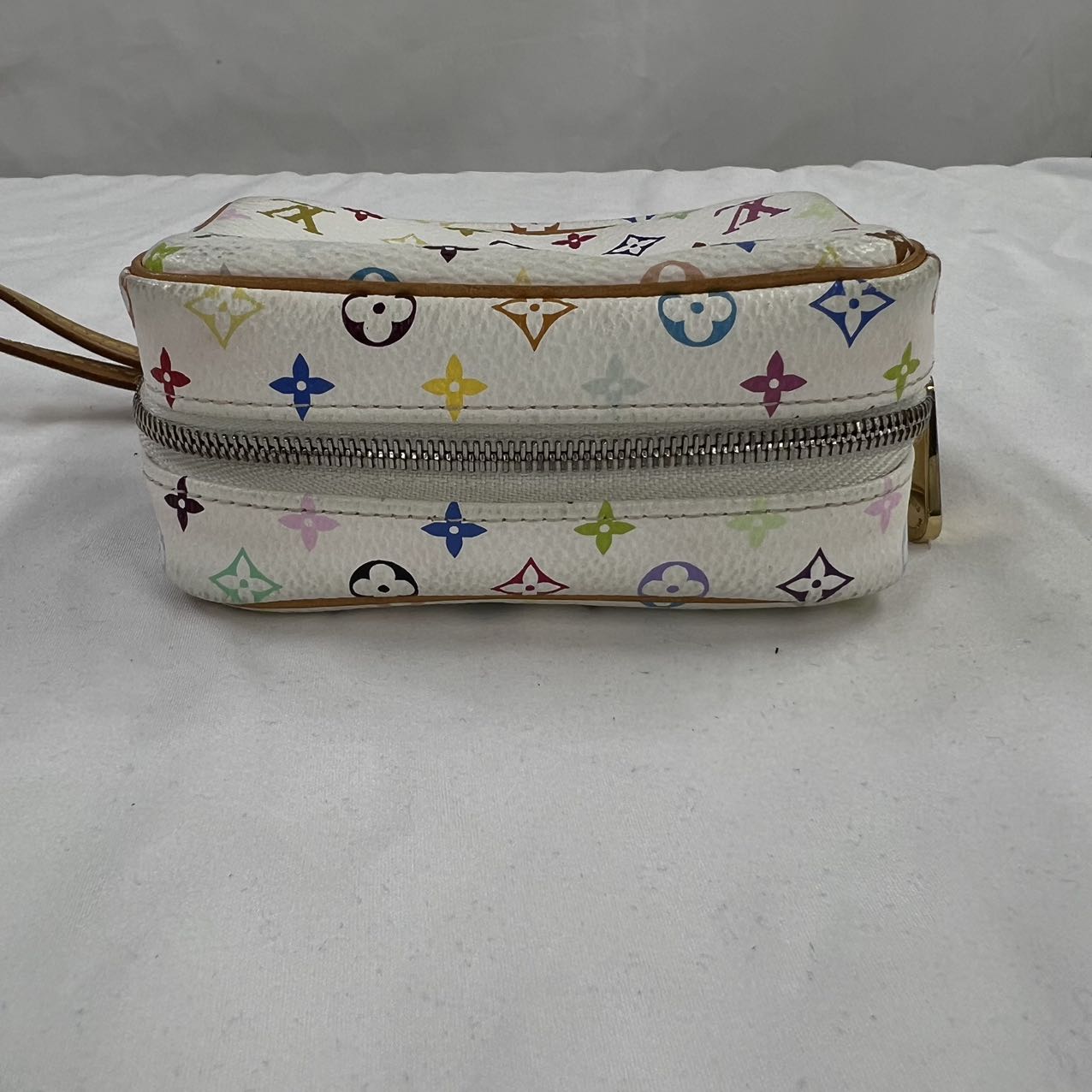 LOUIS VUITTON<br>Truth Wapiti Multi Color