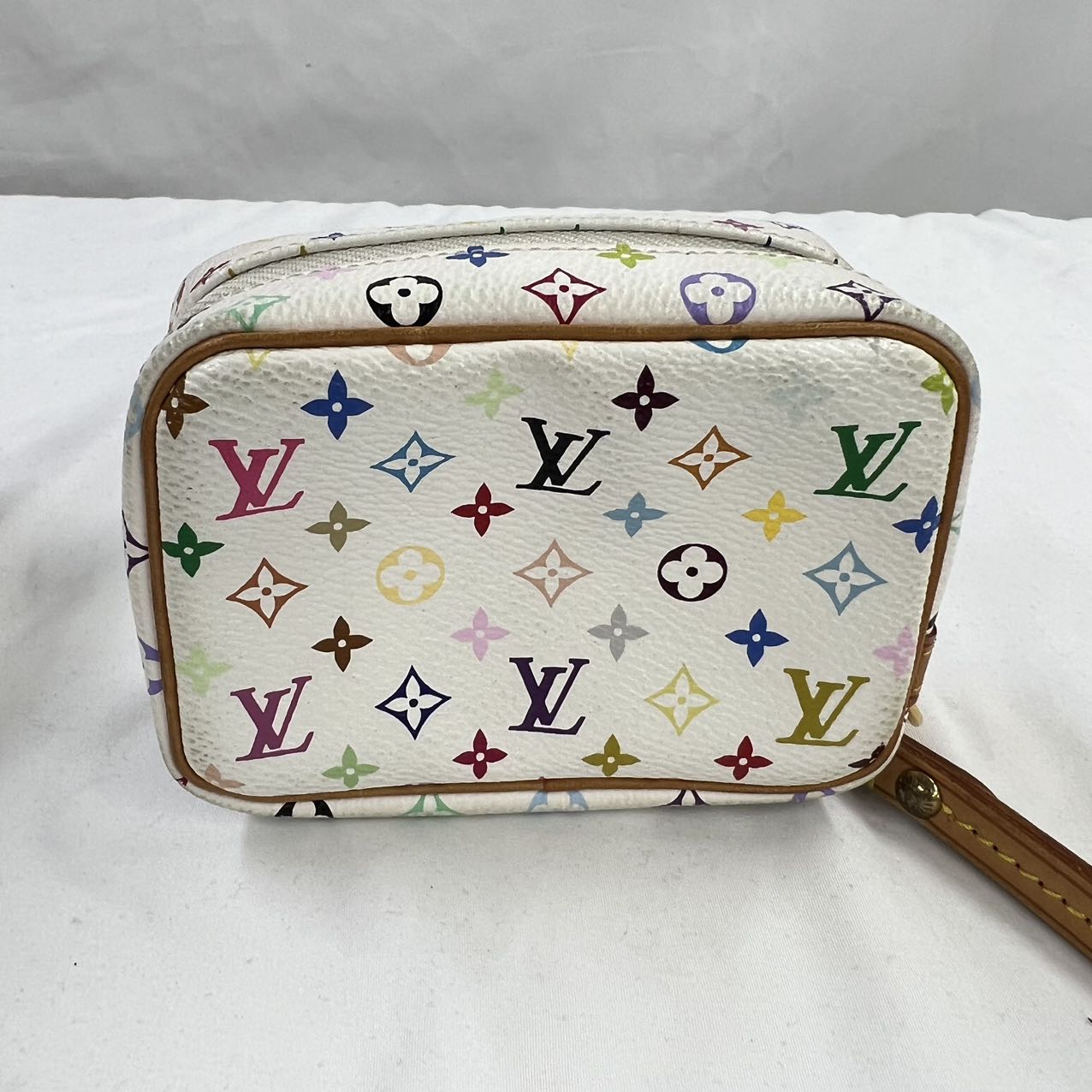 LOUIS VUITTON<br>Truth Wapiti Multi Color